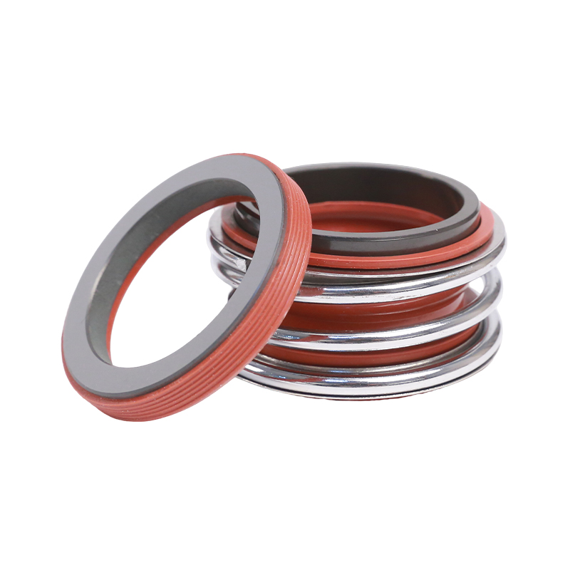 MG1 Mechanical Seal